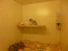 -龙猫仔乐园(惠福东路店)