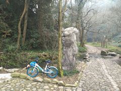 -国生茶庄·地道农家菜团建活动