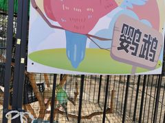 -前小桔亲子创意农场·草莓采摘·露营烧烤