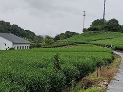 -杭州灵山景区