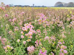 -中国天府农业博览园