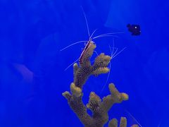 -海合安武汉极地海洋公园