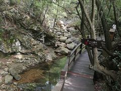 -祁门牯牛降观音堂风景区