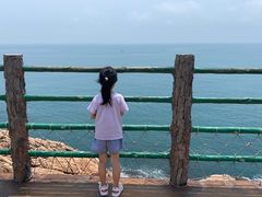 -广东惠东海龟国家级自然保护区