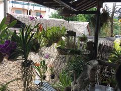 -自然餐厅(Phuket)
