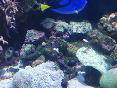 -珠海长隆海洋王国