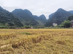 -靖西鹅泉风景区