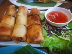 炸春卷-Kat's Kitchen