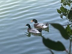 -白马涧龙池景区
