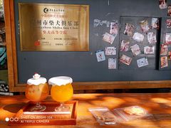 -柴犬高等学院·狗咖·柴犬售卖·宠物训练