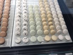-BLACKSWAN黑天鹅(环球店)