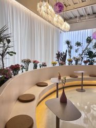 -韩芙莱芳疗spa健康管理