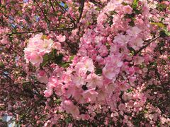 -三味鱼屋(琥珀山庄店)