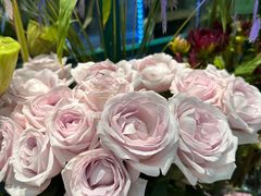 -BOBLOOM花店(宝龙旭辉广场店)