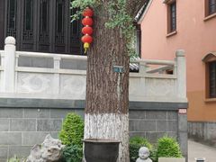 -灵谷景区