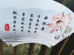 -陈家山荷花公园