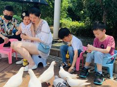 -南昌之星游乐场