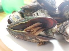 -阿军排档·烧烤
