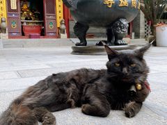 -罔极寺