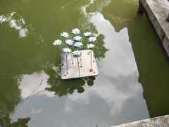 -黄记煌三汁焖锅(欢乐海岸店)