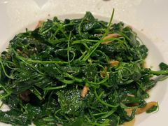 蚌肉金花菜-洋洋中餐馆·SINCE 1997(信投店)