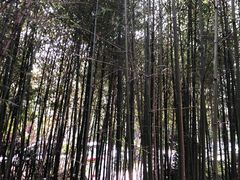 -小仙居·农家宴烤羊· 农庄