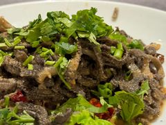 -羲和雅苑•北京烤鸭(平安国际金融中心店)