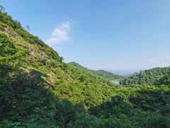 -广州白江湖森林公园