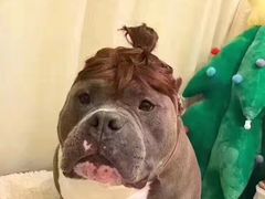 -Siam泰餐厅(水上公园店)