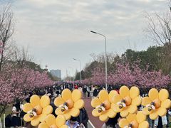 -艾溪湖湿地公园