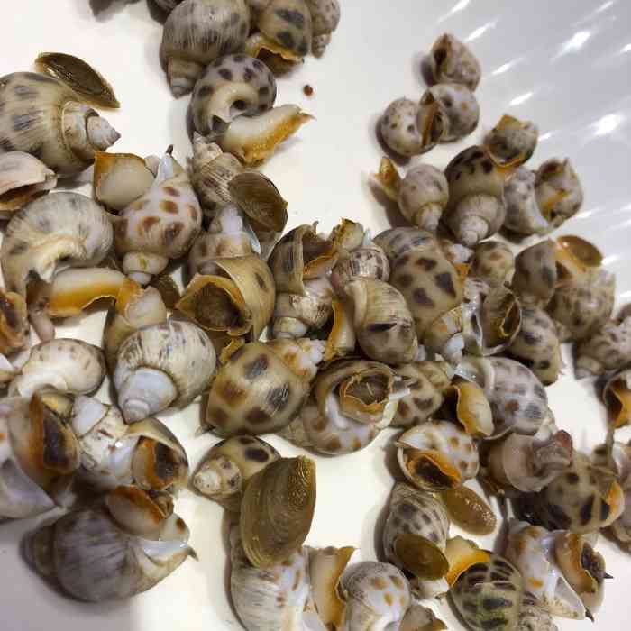 宝燕海货工场(春申路店)-"这家海鲜很新鲜 超市购买后加工 周末人多.