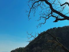 -北京鹫峰国家森林公园