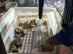 -菌粹源野生菌(木水花市场店)