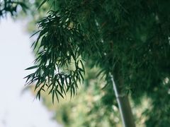 -深圳隐秀山居酒店