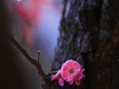 -尚贤河湿地