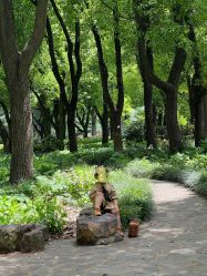 -BabyA 专业婴童摄影(古北时尚广场店)