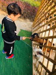 -萌宠亲子动物乐园(槐房万达店)