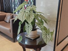 -龙悦湾酒家·八阵鱼生·渔人码头店