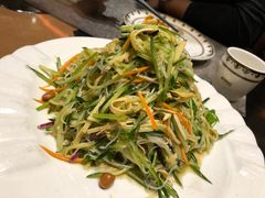 山庄大拌菜-蒙古人烤羊大师·绿野餐厅(工农大路店)