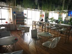 -Husky Go! 哈士奇体验馆·宠物咖啡厅狗咖