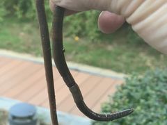 -北京园博大酒店