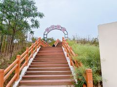 -恋山坝上草原