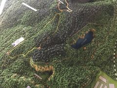 -武吉知马自然保护区