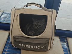 -伟伟宠物医院·CT影像中心·瑞派犬猫综合性门诊(汉口总院)