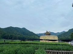 -龙坞茶村