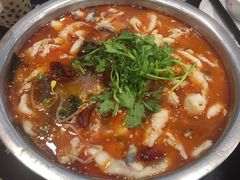 -龙梅肥肠鱼(明瓦廊店)