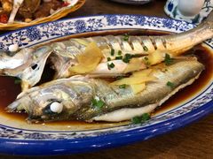 -老马家·舌尖上的西塘美食