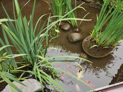 -聚缘堂·海鲜私房菜(松岭路店)