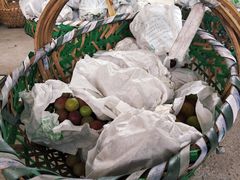 -马陆小张葡萄园农家乐