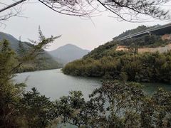 -广州市流溪河国家森林公园